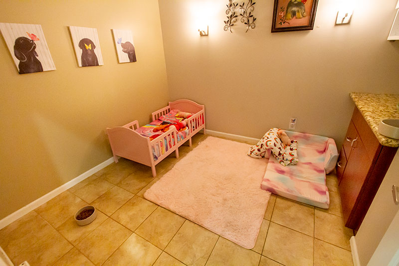 dog boarding and pet daycare in Sherman Oaks