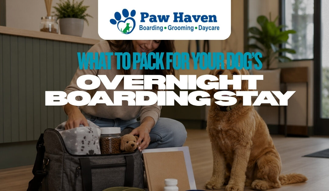 What To Pack For Your Dog’s Overnight Boarding Stay