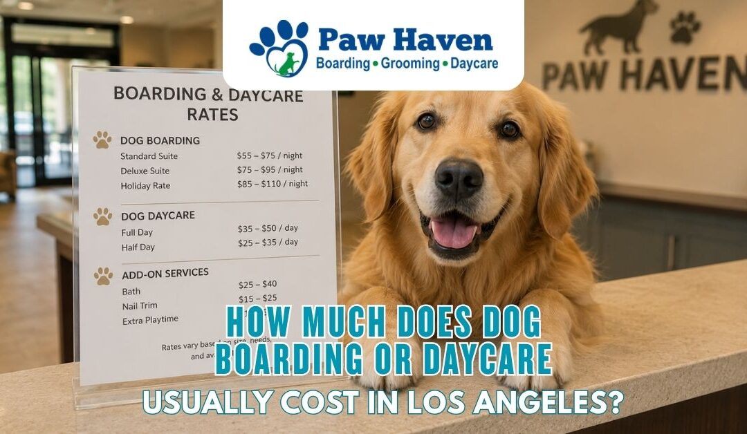 How Much Does Dog Boarding Or Daycare Usually Cost In Los Angeles