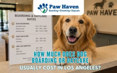 How Much Does Dog Boarding Or Daycare Usually Cost In Los Angeles?